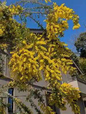 洞照寺(岐阜県)