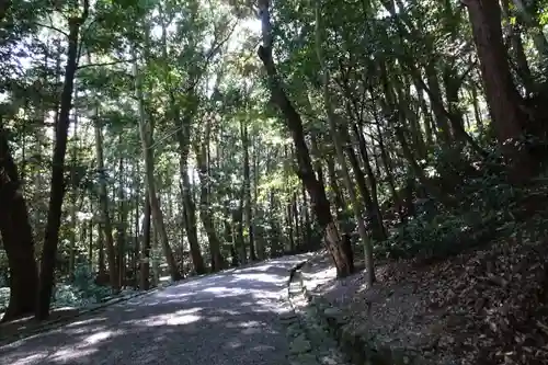 月讀宮（皇大神宮別宮）の自然