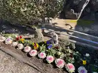 正等山 円福寺(愛知県)