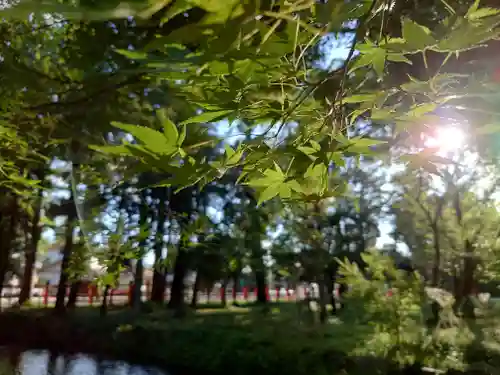 賀茂別雷神社（上賀茂神社）(京都府)