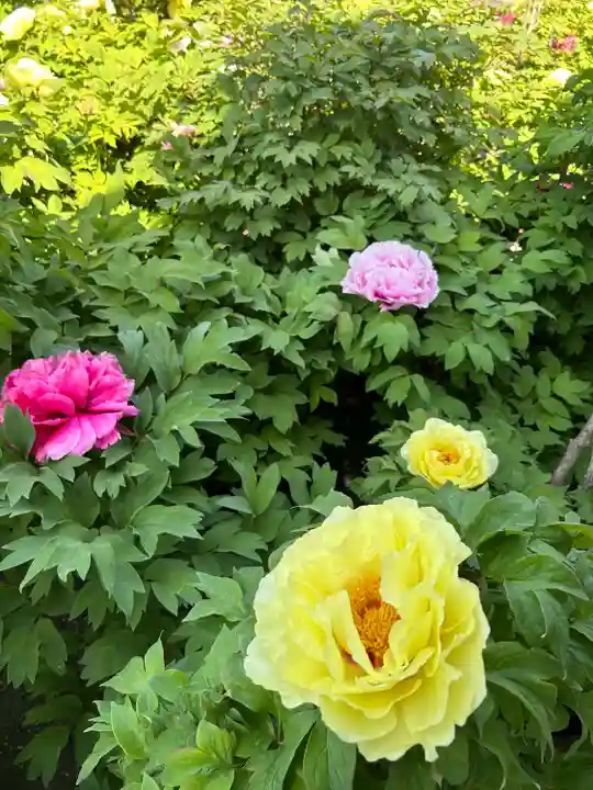 少林寺(埼玉県)