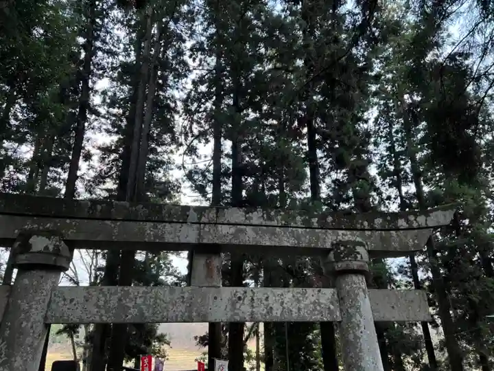 大宮温泉神社の鳥居