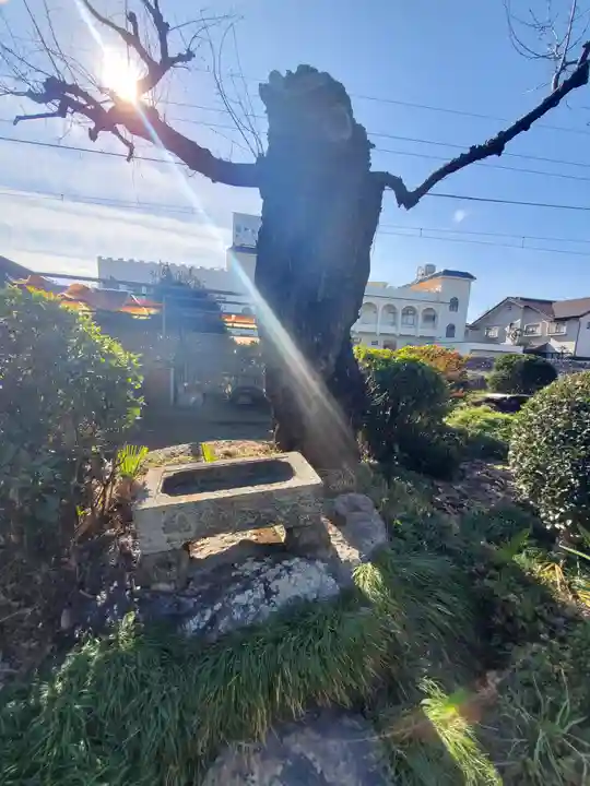 御嶽神社(助戸)(栃木県)