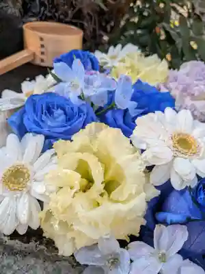本郷氷川神社(東京都)