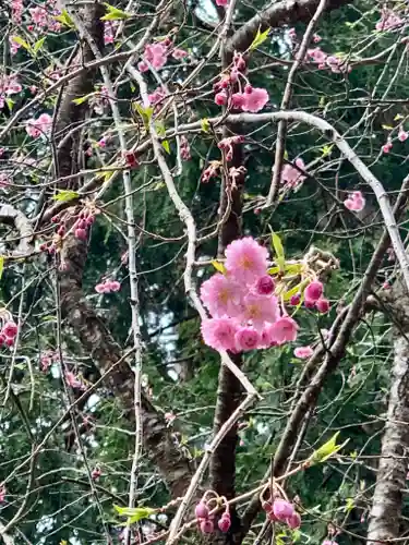土津神社｜こどもと出世の神さまの自然