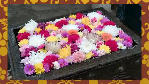 観音寺(東京都)