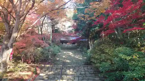 室生寺(奈良県)