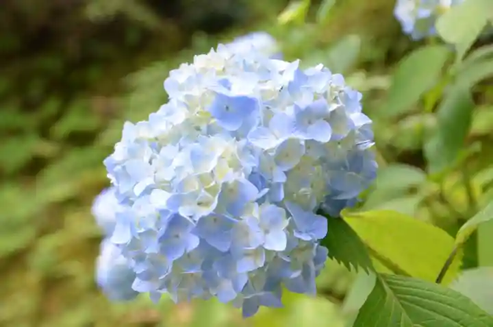 東福禅寺(東福寺)(京都府)