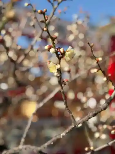 山田天満宮(愛知県)