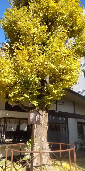 千束稲荷神社(東京都)