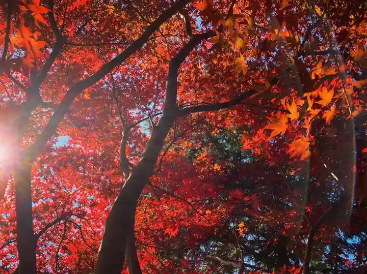 滑川神社 - 仕事と子どもの守り神の自然