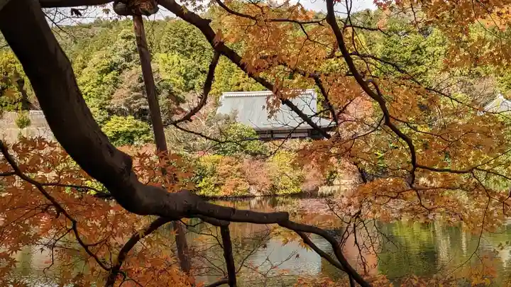 龍安寺(京都府)