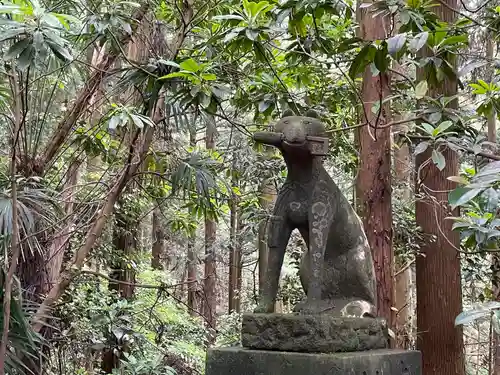 琴平神社の狛犬