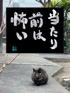 専念寺(大阪府)(2023年03月17日(金) 18時56分00秒投稿)