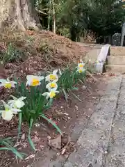 荒橿神社(栃木県)