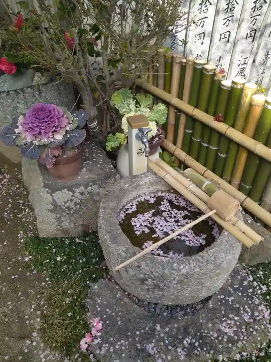 観照寺の手水舎