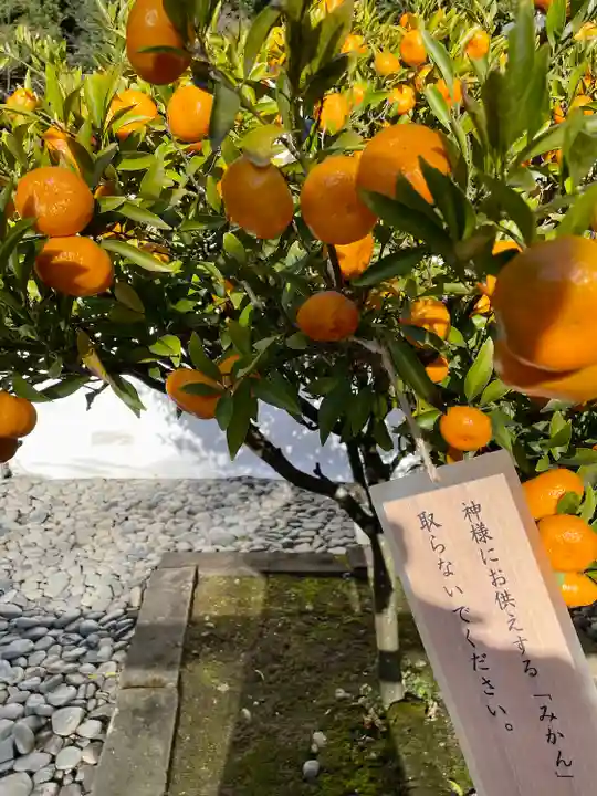 久能山東照宮の自然