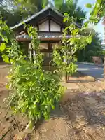 神明神社(千代田町赤岩)(群馬県)