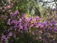 御上神社奥宮(滋賀県)