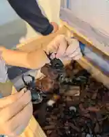 金蛇水神社(宮城県)