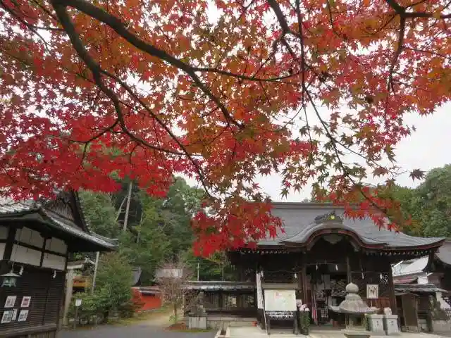 三尾神社(滋賀県)