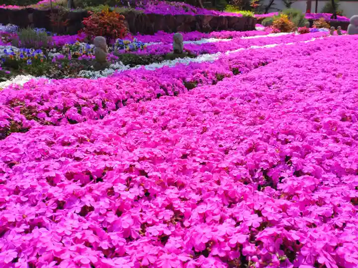 寿量山 速成寺の自然