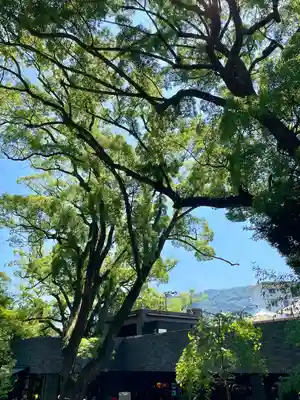 來宮神社(静岡県)