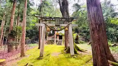 八幡神社(福井県)