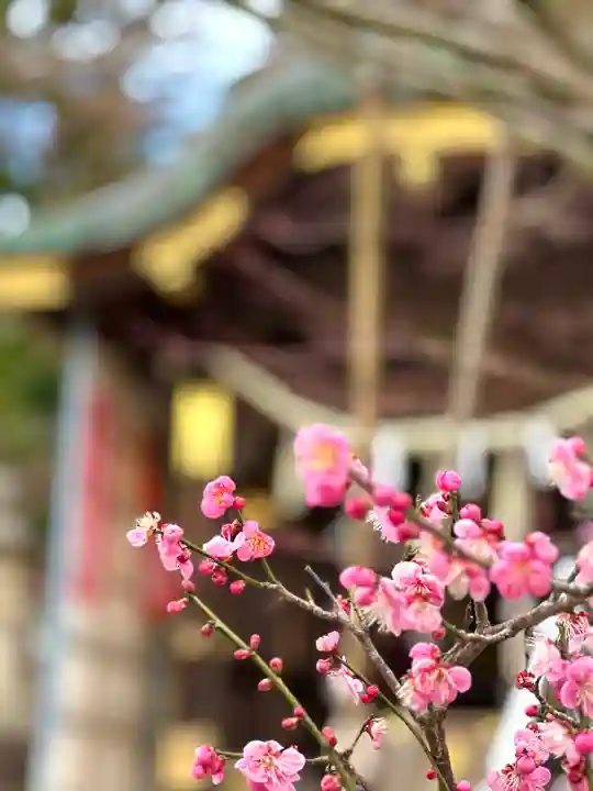 常宮神社(福井県)