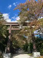 冨士御室浅間神社(山梨県)