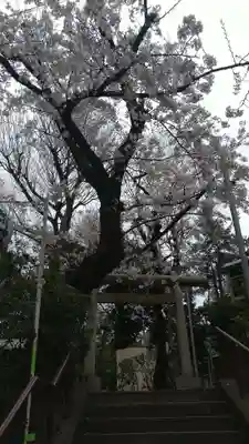 上目黒氷川神社の鳥居