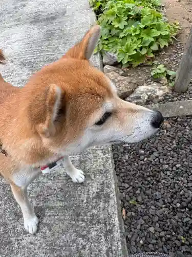 大鏑神社(福島県)