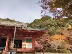 観心寺の本殿