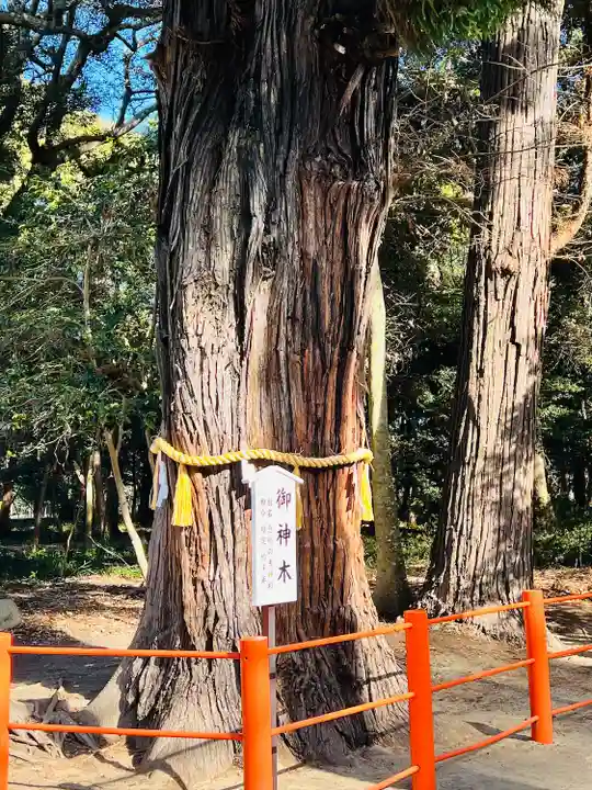 息栖神社(茨城県)