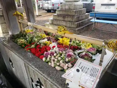 長浜八幡宮の手水舎