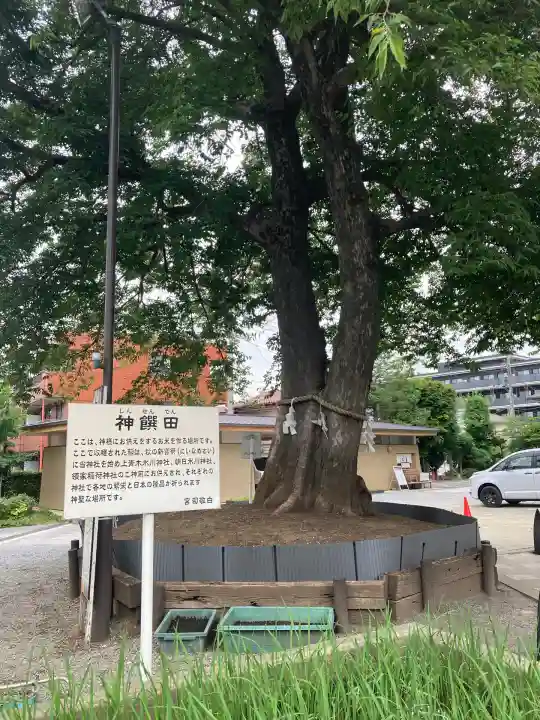 鎮守氷川神社(埼玉県)