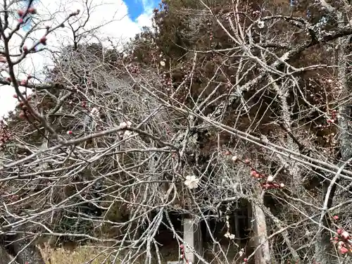北野神社(福島県)