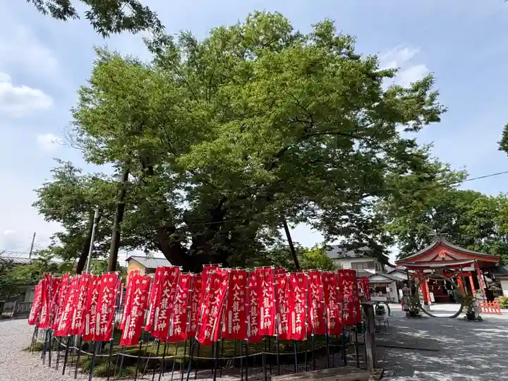 秩父今宮神社(埼玉県)