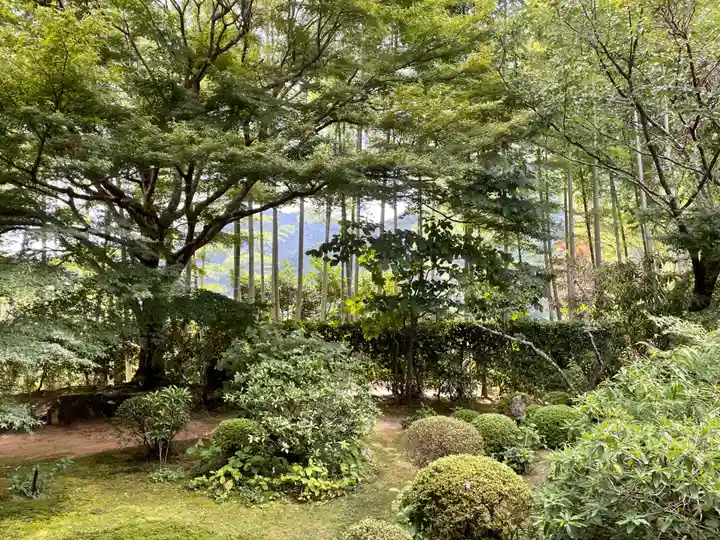 宝泉院(京都府)