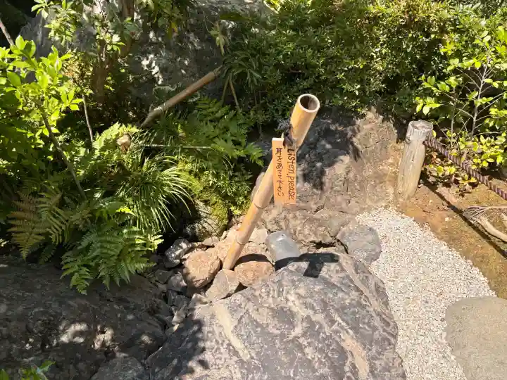 退蔵院(京都府)