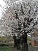 伏木香取神社の自然