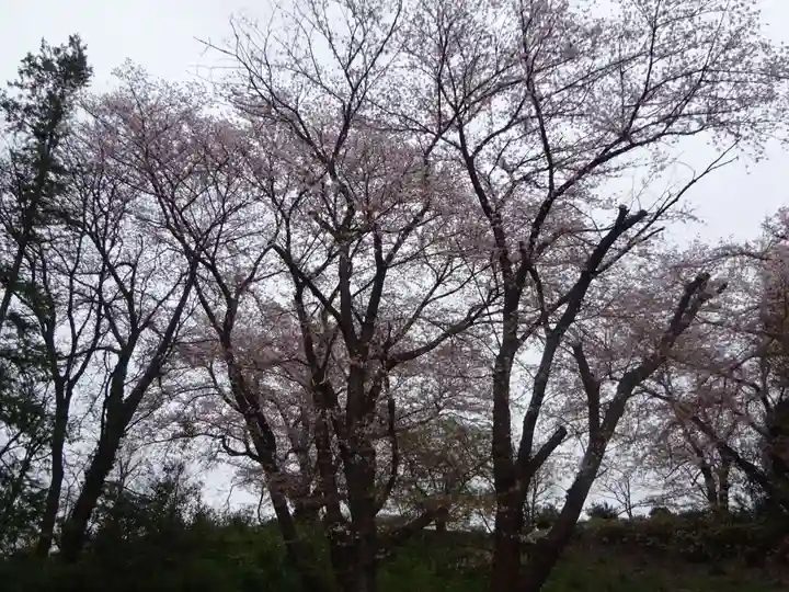 天台宗 長窪山 正覚寺の自然