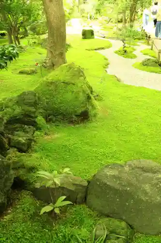 報国寺(神奈川県)