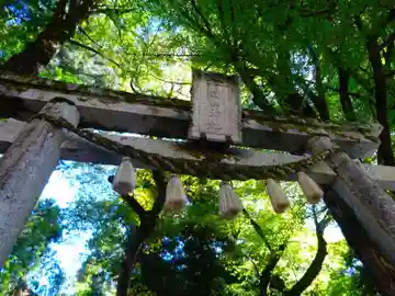 白山神社(滋賀県)