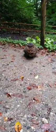 中尊寺の{uncategorized: "未分類", other: "その他", undefined: "問題あり", building: "その他建物", grave: "お墓", sacred_gate: "鳥居", guardian: "狛犬", statue: "像", buddha: "仏像", history: "歴史", nature: "自然", garden: "庭園", animal: "動物", pagoda: "塔", temizu: "手水舎", mountain_gate: "山門・神門", sanctuary: "本殿・本堂", subordinate: "末社・摂社", art: "芸術", scenery: "景色", jizo: "地蔵", ema: "絵馬", goshuin: "御朱印", omikuji: "おみくじ", items: "授与品その他", amulet: "お守り", goshuincho: "御朱印帳", eats: "食事", festival: "お祭り", votive_dance: "神楽", shichigosan: "七五三参", wedding: "結婚式", experience: "体験その他", initially: "初詣", around: "周辺", anti_infection: "感染症対策"}