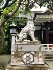 鳥越神社の狛犬