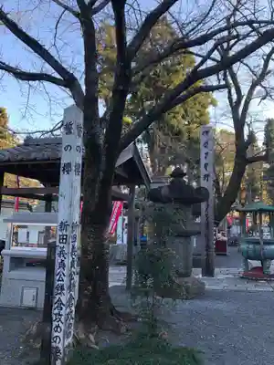 金乗院放光寺のその他建物