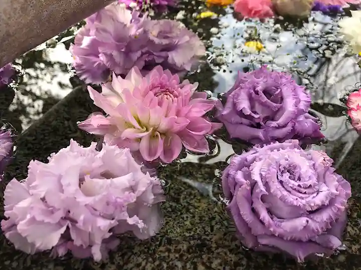 春日神社の自然