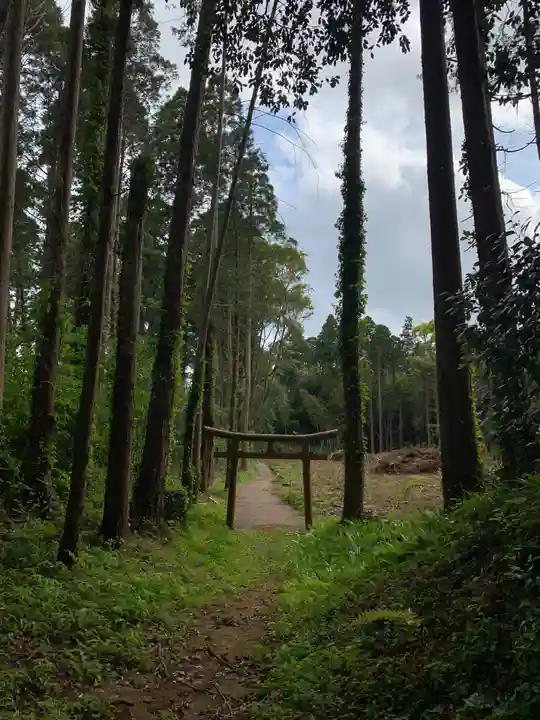八幡神社(千葉県)