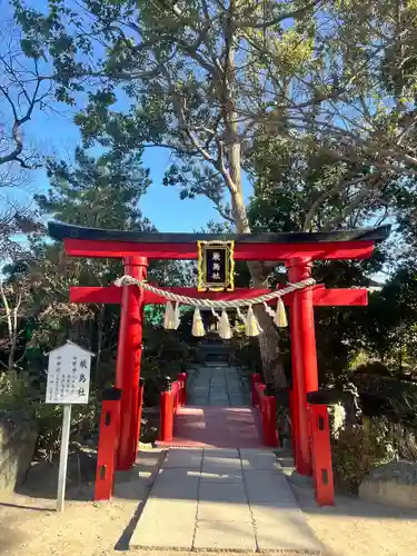 葛飾八幡宮(千葉県)